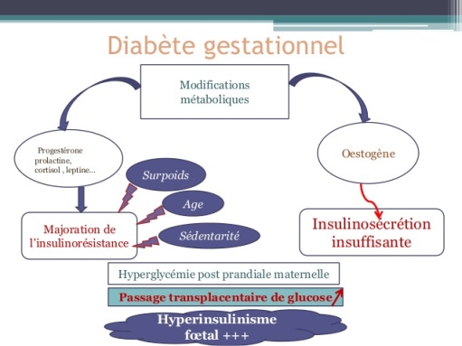 Les différents types de diabètes | lediabetesite